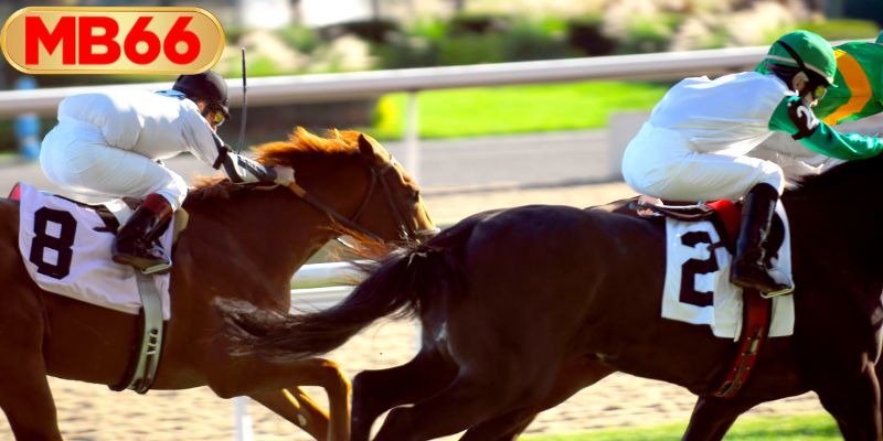 ทำความเข้าใจประเภทการเดิมพันม้าแข่งต่างๆ